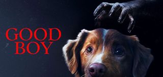 Good Boy