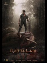 Kattalan Photo 1