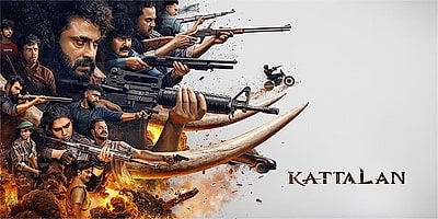 Kattalan Info