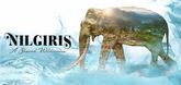 Trailer - Nilgiris: A Shared Wilderness