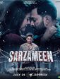 Click to know more about Sarzameen