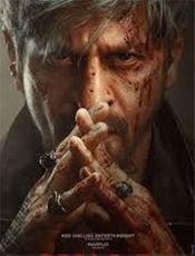 Click to know more about King