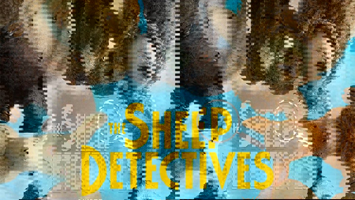 The Sheep Detectives English Movie